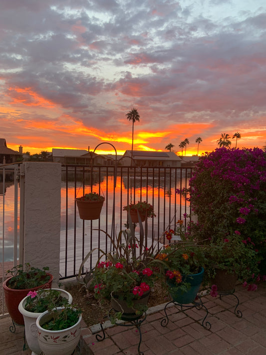 The Majestic Beauty of a Sunrise