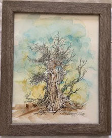 Ancient Bristlecone Pine Original - Gene's Pen & Ink