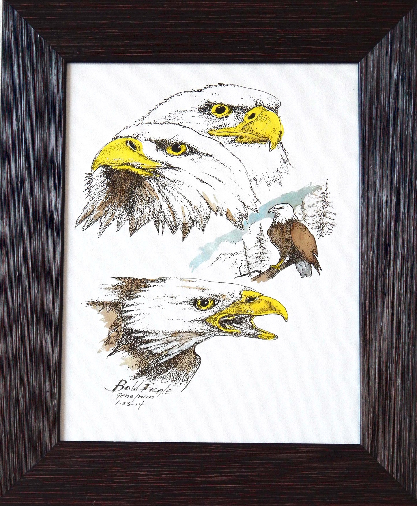Bald Eagle Collage Framed - Gene's Pen & Ink