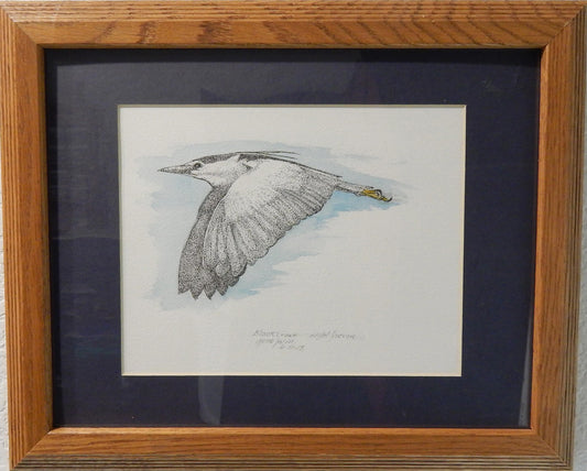 Black Crowned Night Heron in Flight Original - Gene's Pen & Ink