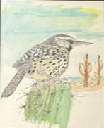 Cactus Wren Original - Gene's Pen & Ink