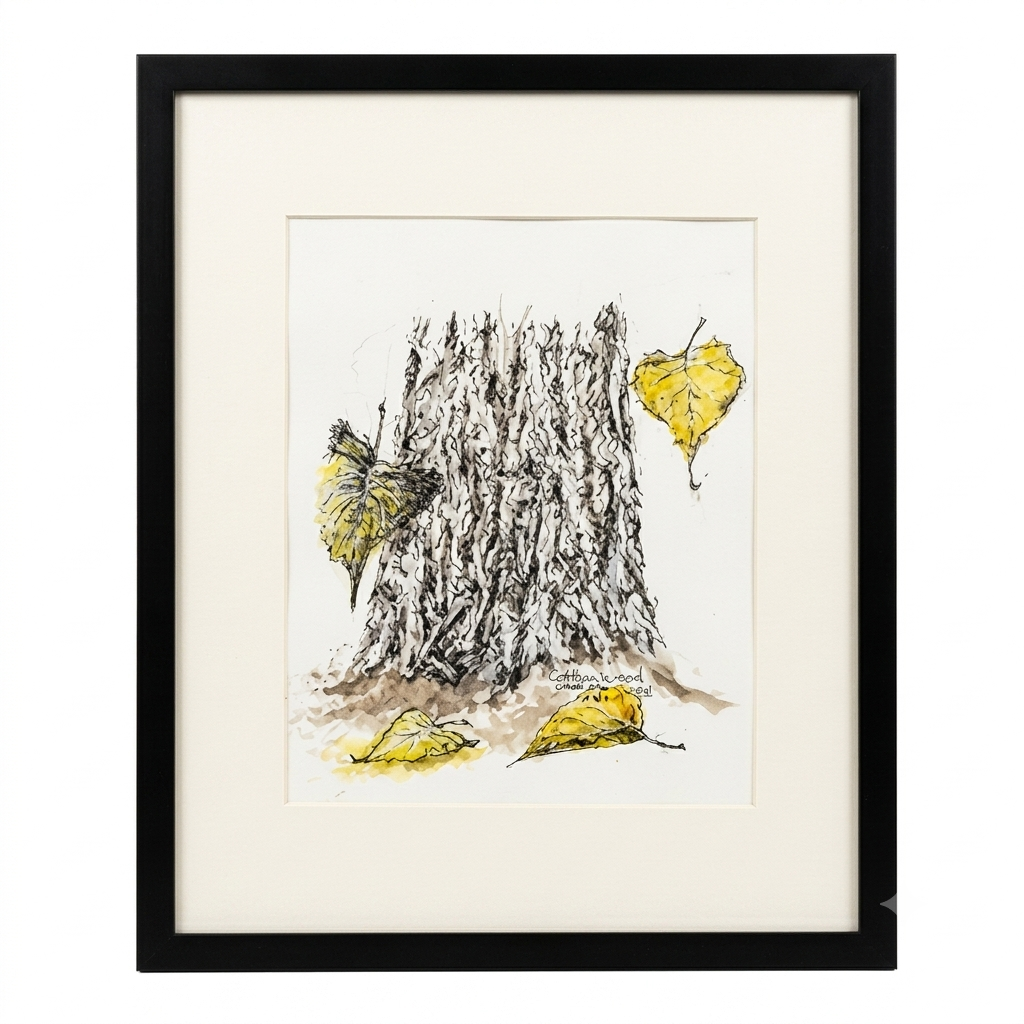 Original cottonwood tree trunk drawing by Gene Irvin, pen and ink with green watercolor wash, black frame with white mat, 12×15", ready to hang.