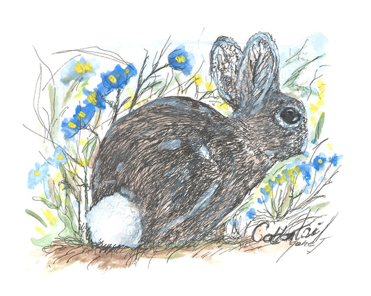 Desert Cottontail Rabbit pen and ink illustration with watercolor washes by Gene Irvin — alert cottontail rabbit with upright ears and soft fur, caught mid-pause, fine pen line work with warm dusty desert watercolor tones, signed by the artist