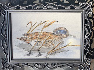 Duck Original - Gene's Pen & Ink