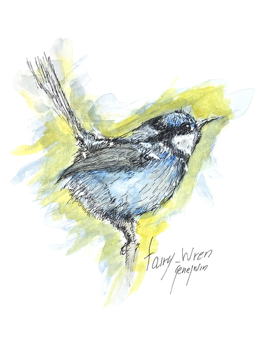 Original Fairy Wren watercolor and ink illustration by Gene Irvin, 1996 — expressive loose ink line drawing of a blue-grey fairy wren with yellow-green and soft blue watercolor washes, signed by the artist