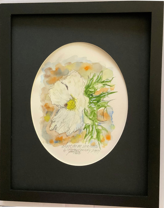 Flatbud Prickly Poppy Original - Gene's Pen & Ink