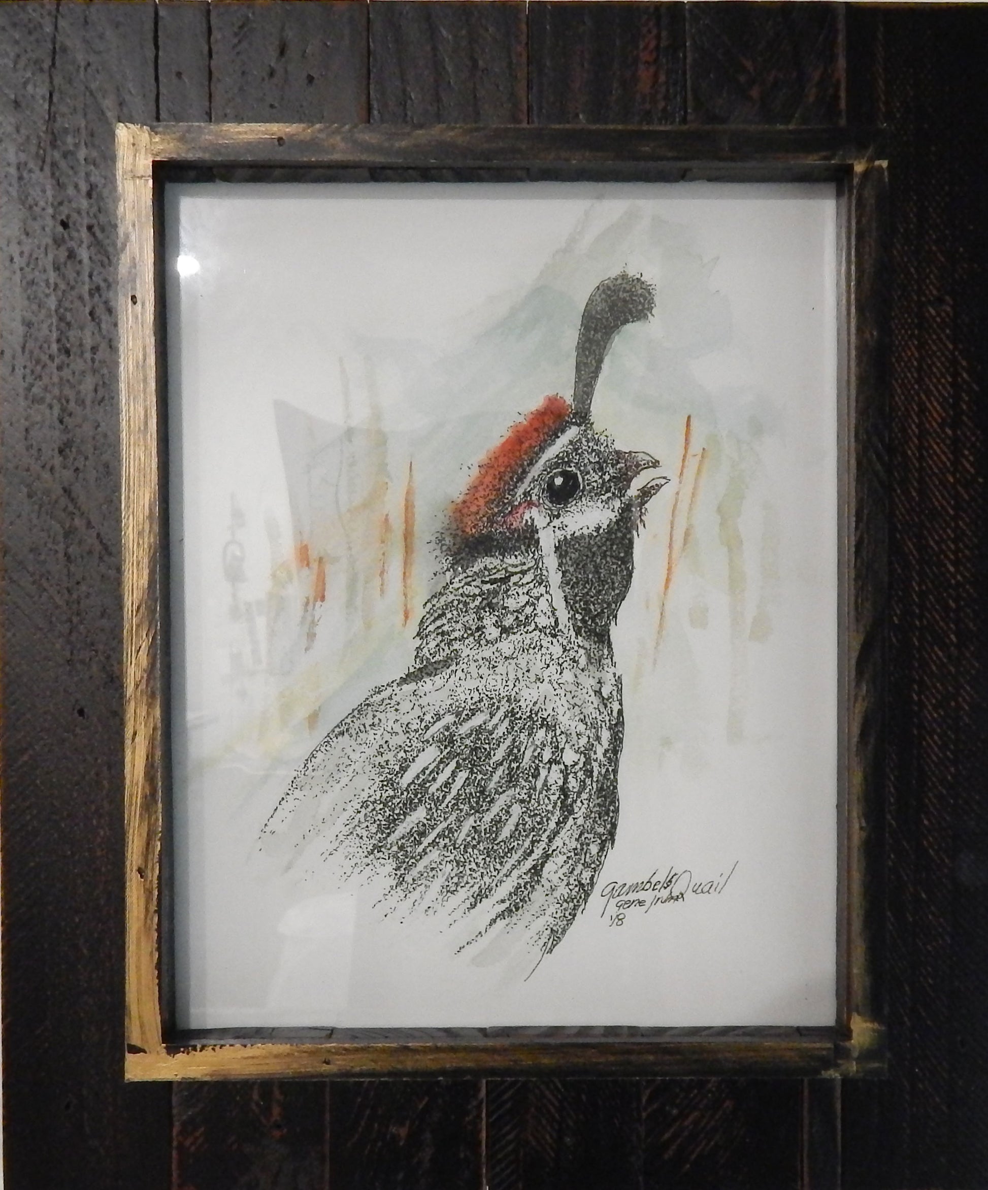 Gambel Quail Framed - Gene's Pen & Ink