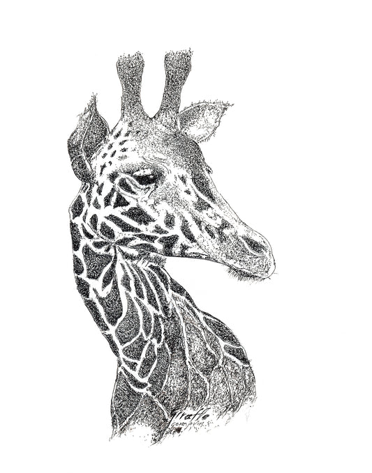 Giraffe Portrait Black-and-White pen and ink stippling illustration by Gene Irvin — meticulous stippling close-up portrait of a Reticulated Giraffe head and neck in three-quarter profile with distinctive reticulated pattern, soft dark eye, and ossicones against a white background, inscribed 'Giraffe' and signed by the artist in Gene's own hand