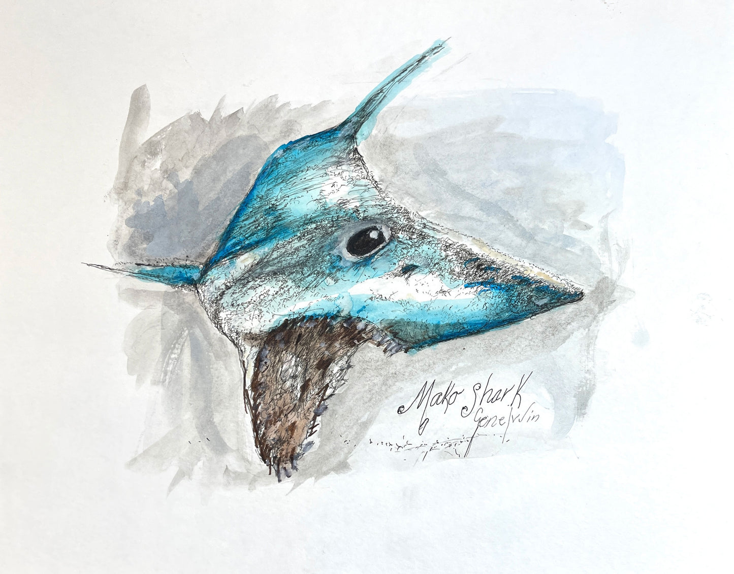 Mako Shark pen, ink, and watercolor portrait by Gene Irvin — close-up head study of a mako shark with pointed snout and large black eye, vivid electric blue and teal watercolor washes over loose gestural ink line work, grey-blue watercolor background, signed by the artist
