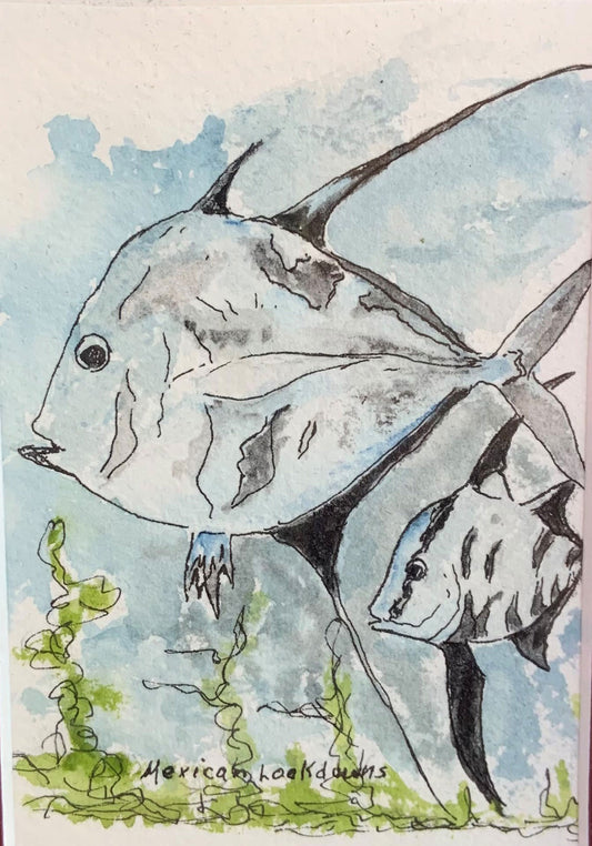 Mexican Lookdown Fish Original - Gene's Pen & Ink
