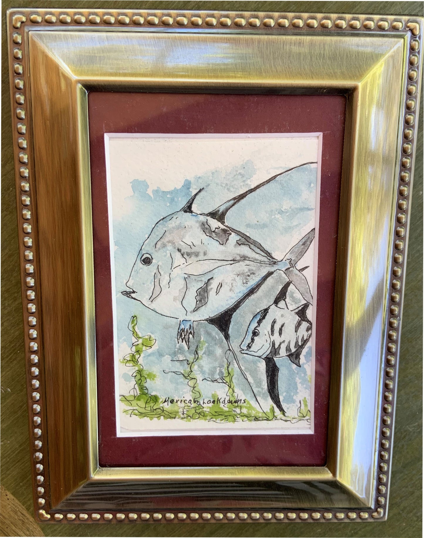 Mexican Lookdown Fish Original - Gene's Pen & Ink