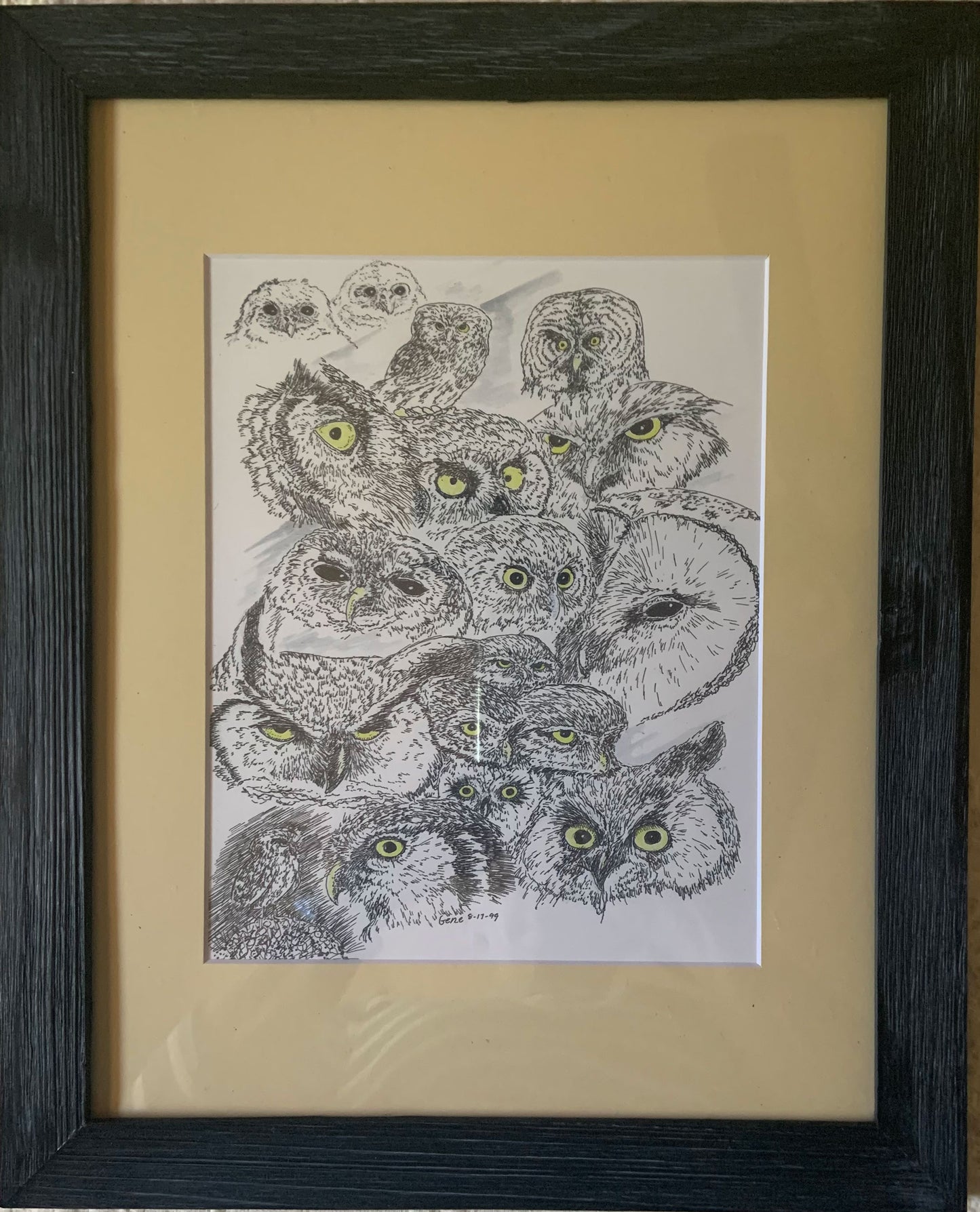 Owls Heads Collage Framed - Gene's Pen & Ink