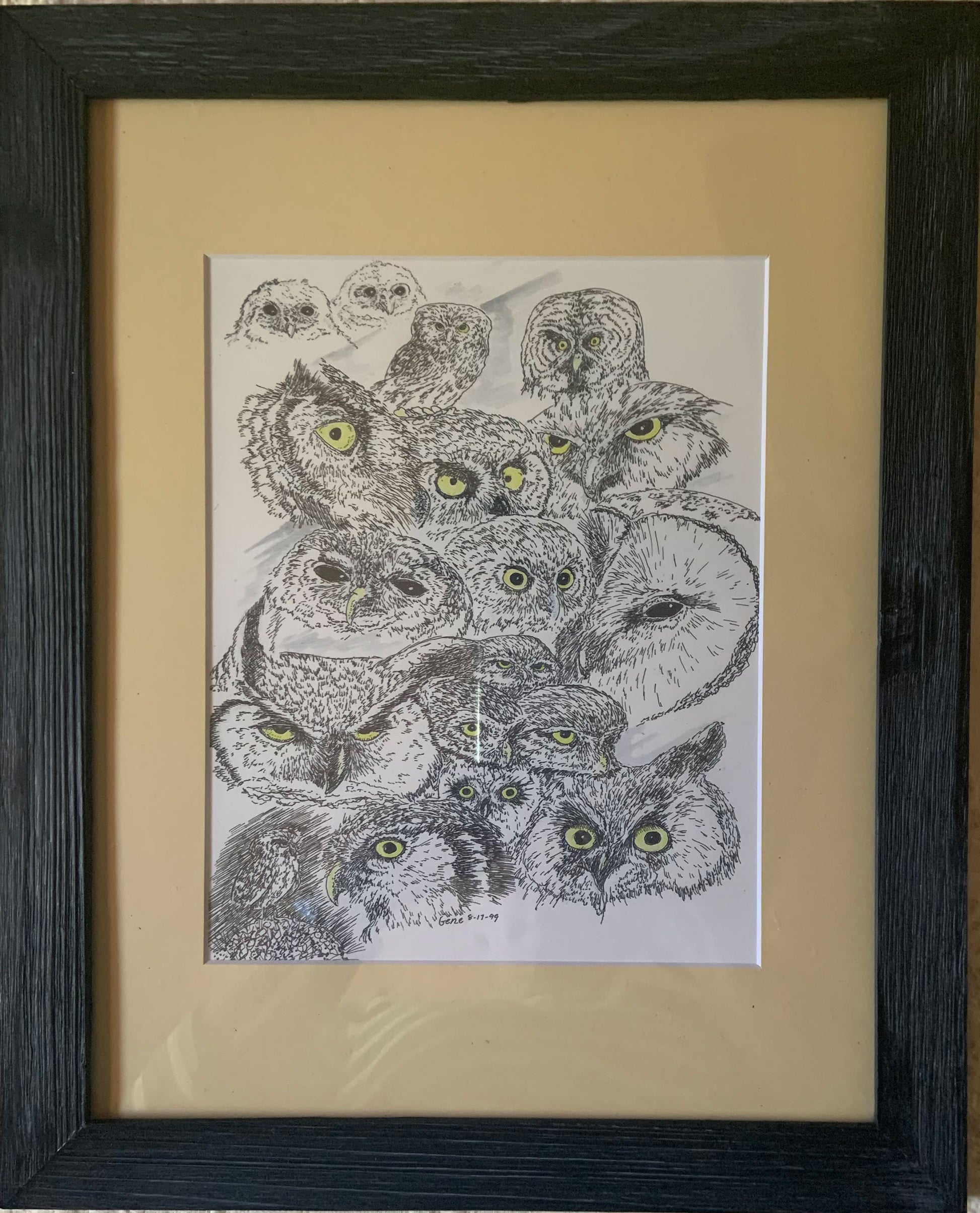 Owls Heads Collage Framed - Gene's Pen & Ink