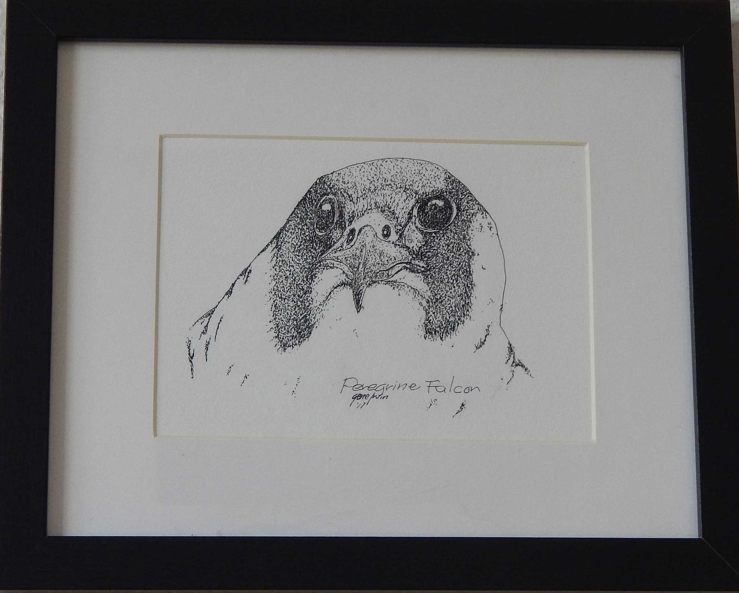 Peregrine Falcon Original - Gene's Pen & Ink