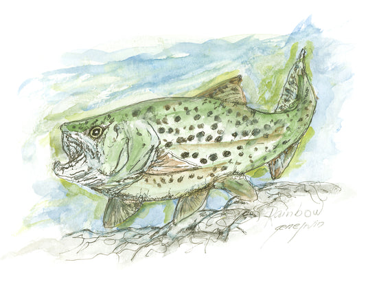 Rainbow Trout pen, ink, and watercolor illustration by Gene Irvin — expressive loose ink portrait of a spotted Rainbow Trout with green, blue, and tan watercolor washes, dark spots on silver-green body, resting over river rocks, signed by the artist