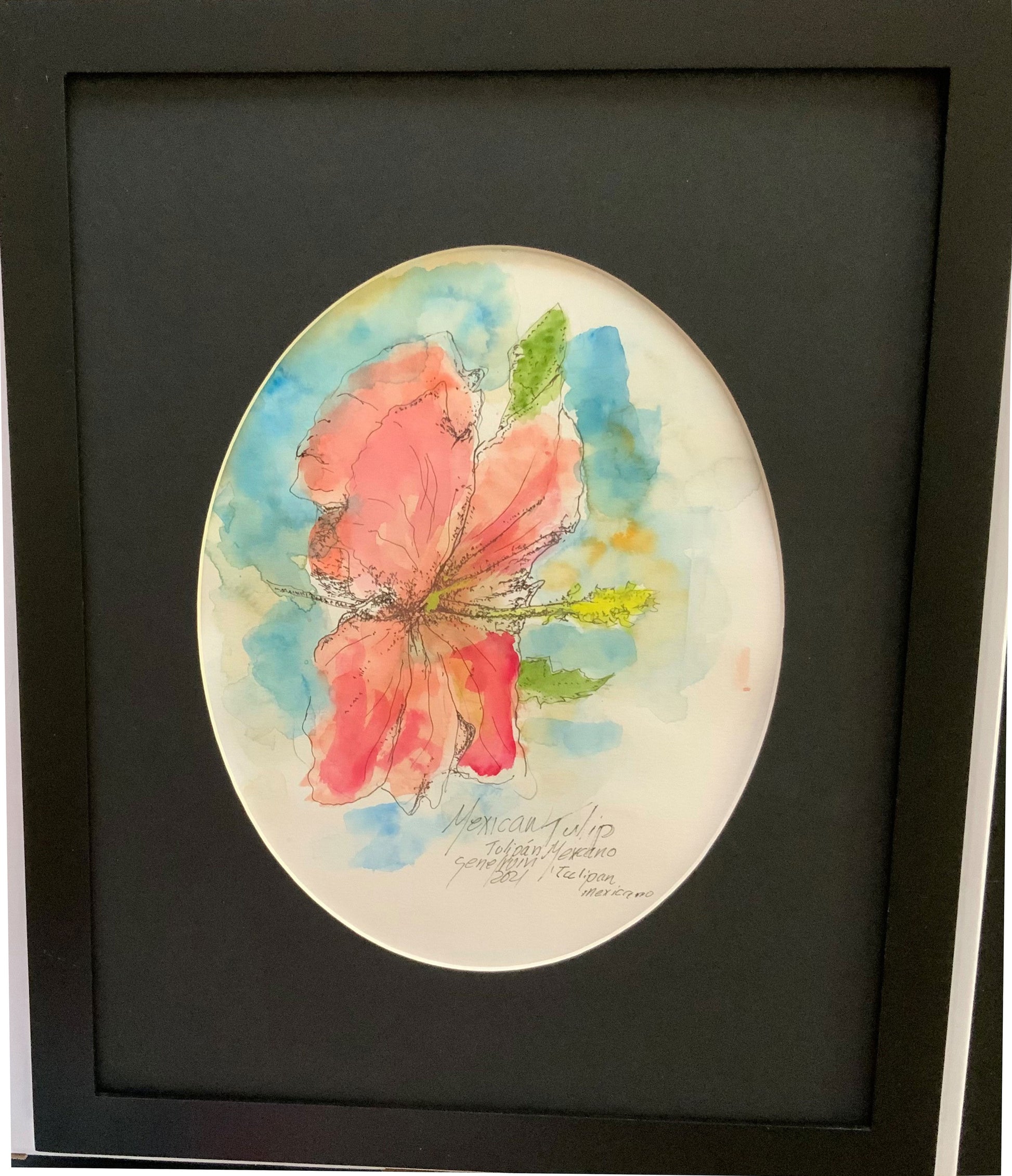 Mexican Tulip Poppy Original - Gene's Pen & Ink