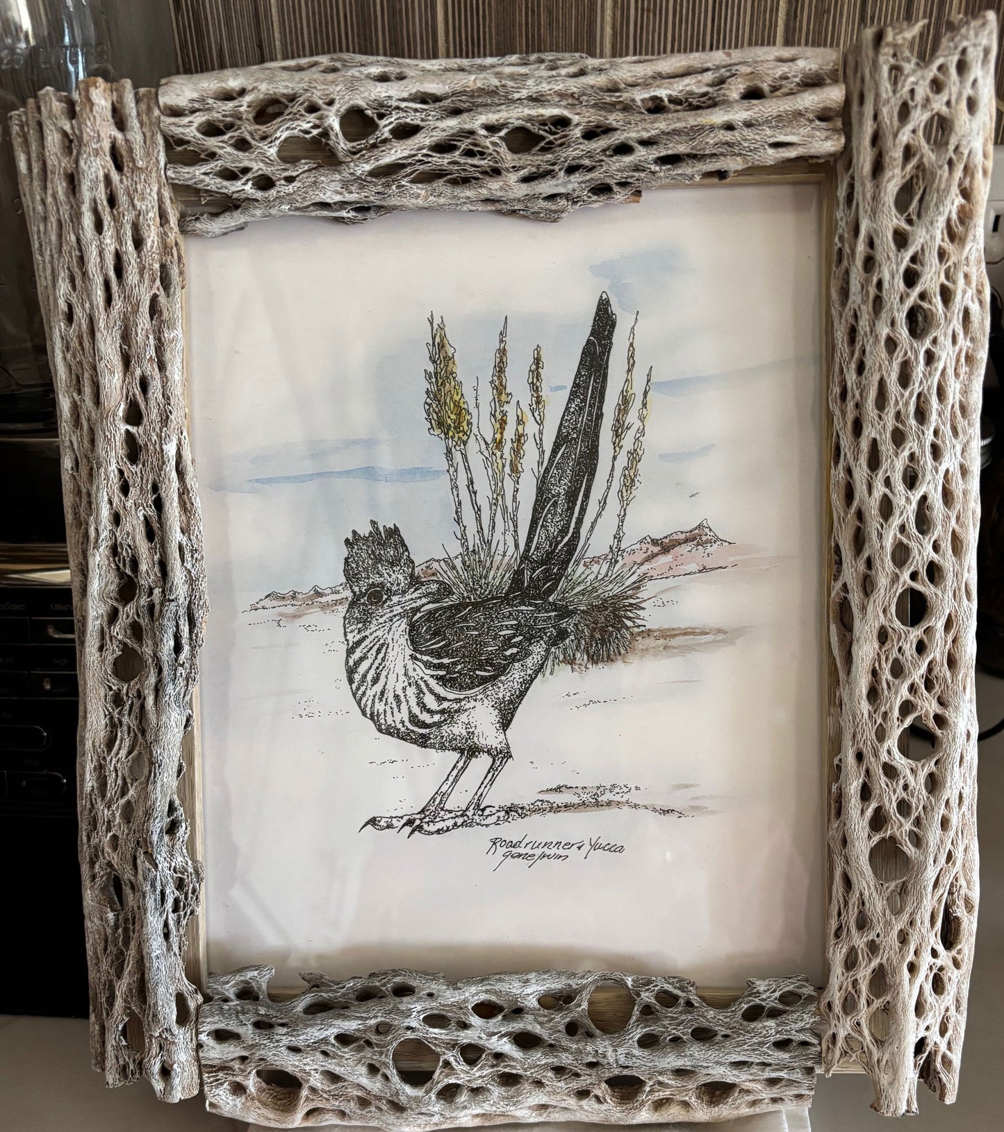 Cereus de floración nocturna