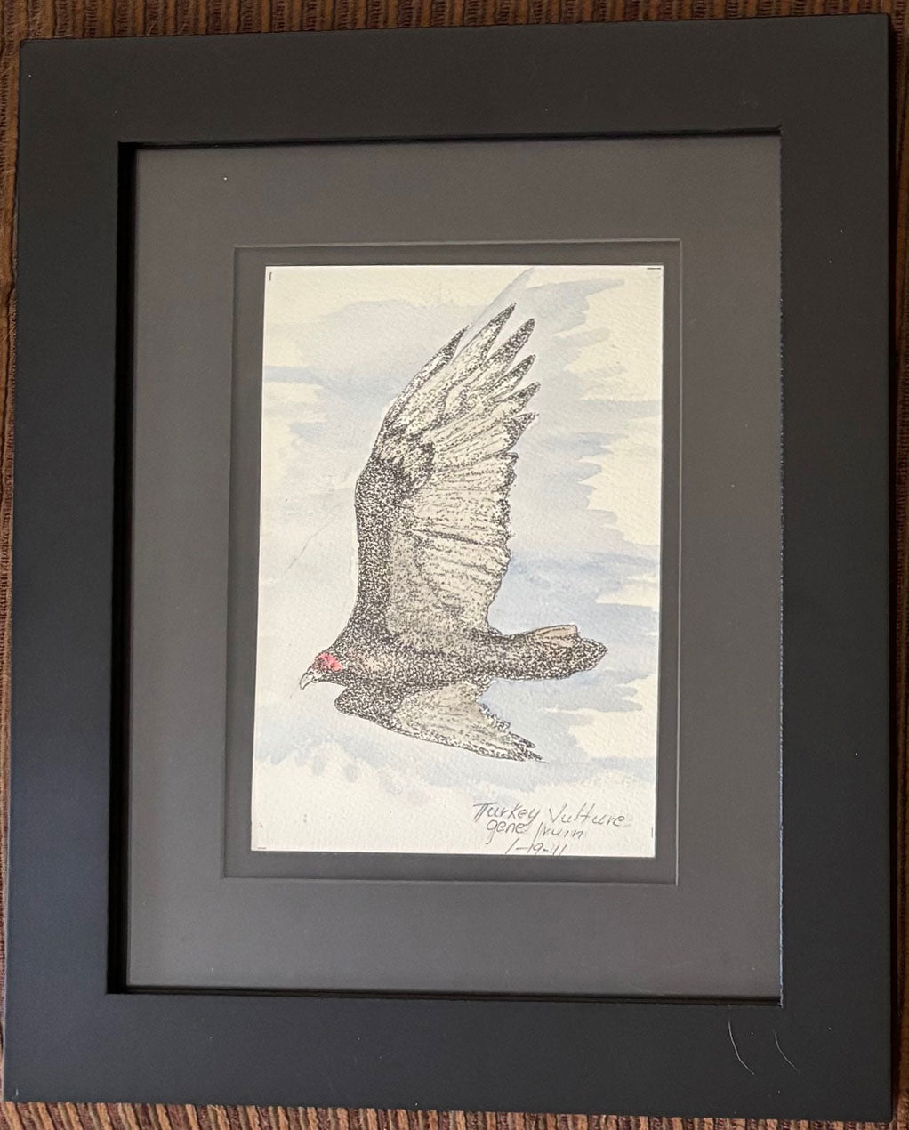 Ink and watercolor illustration of a turkey vulture soaring, framed in wood