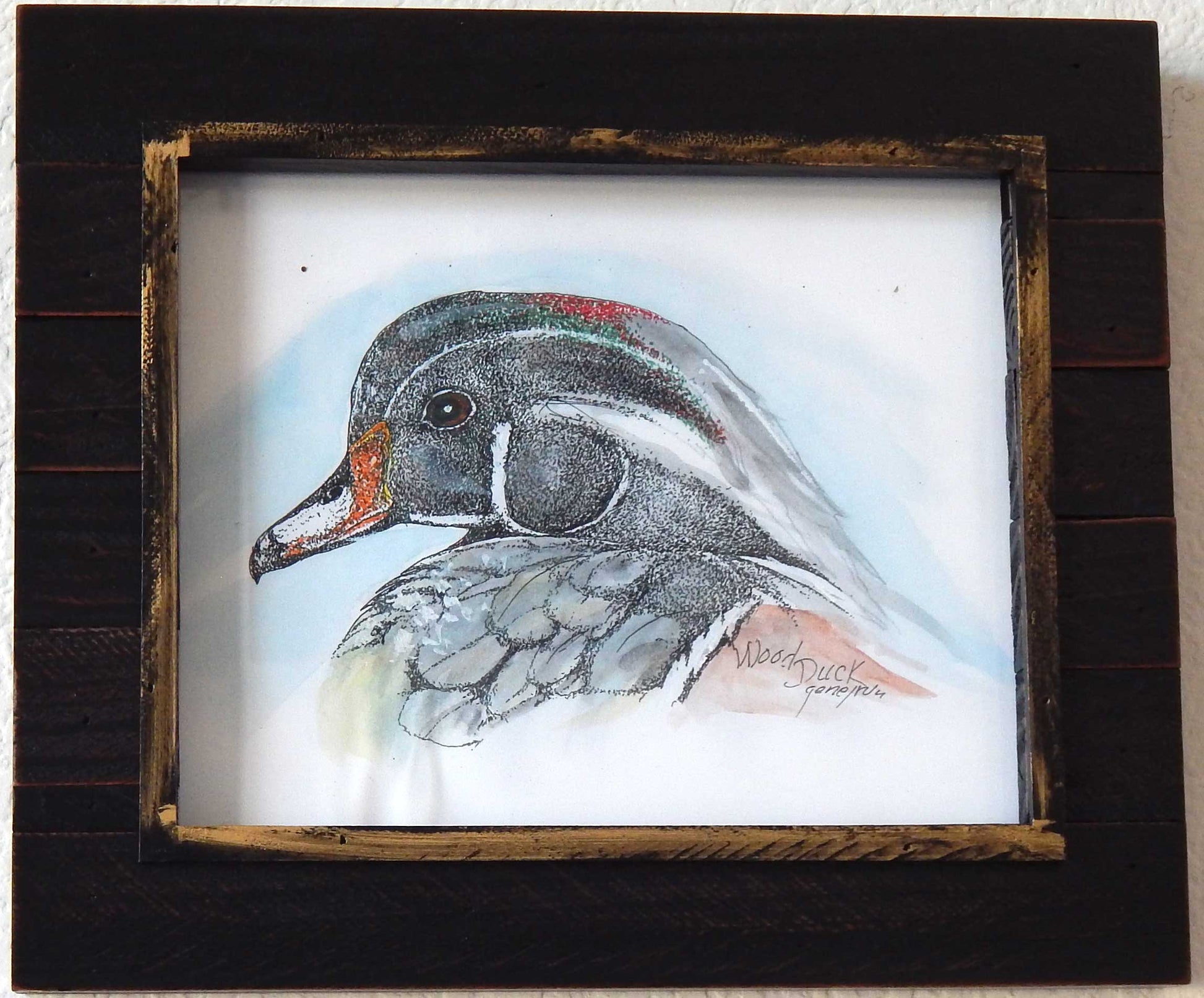 Wood Duck Framed - Gene's Pen & Ink