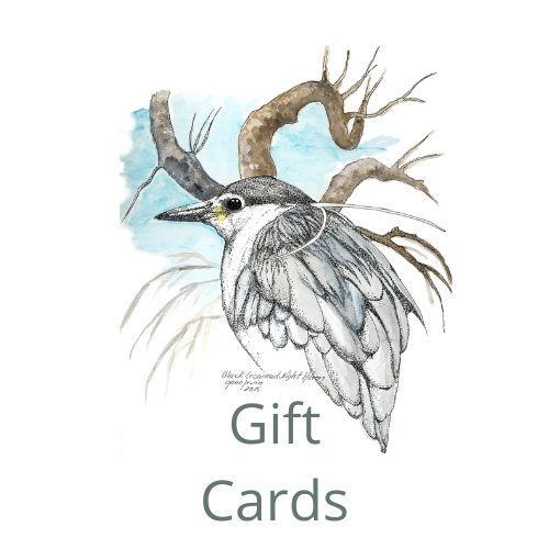 Gene's Pen & Ink Gift Card - Gene's Pen & Ink