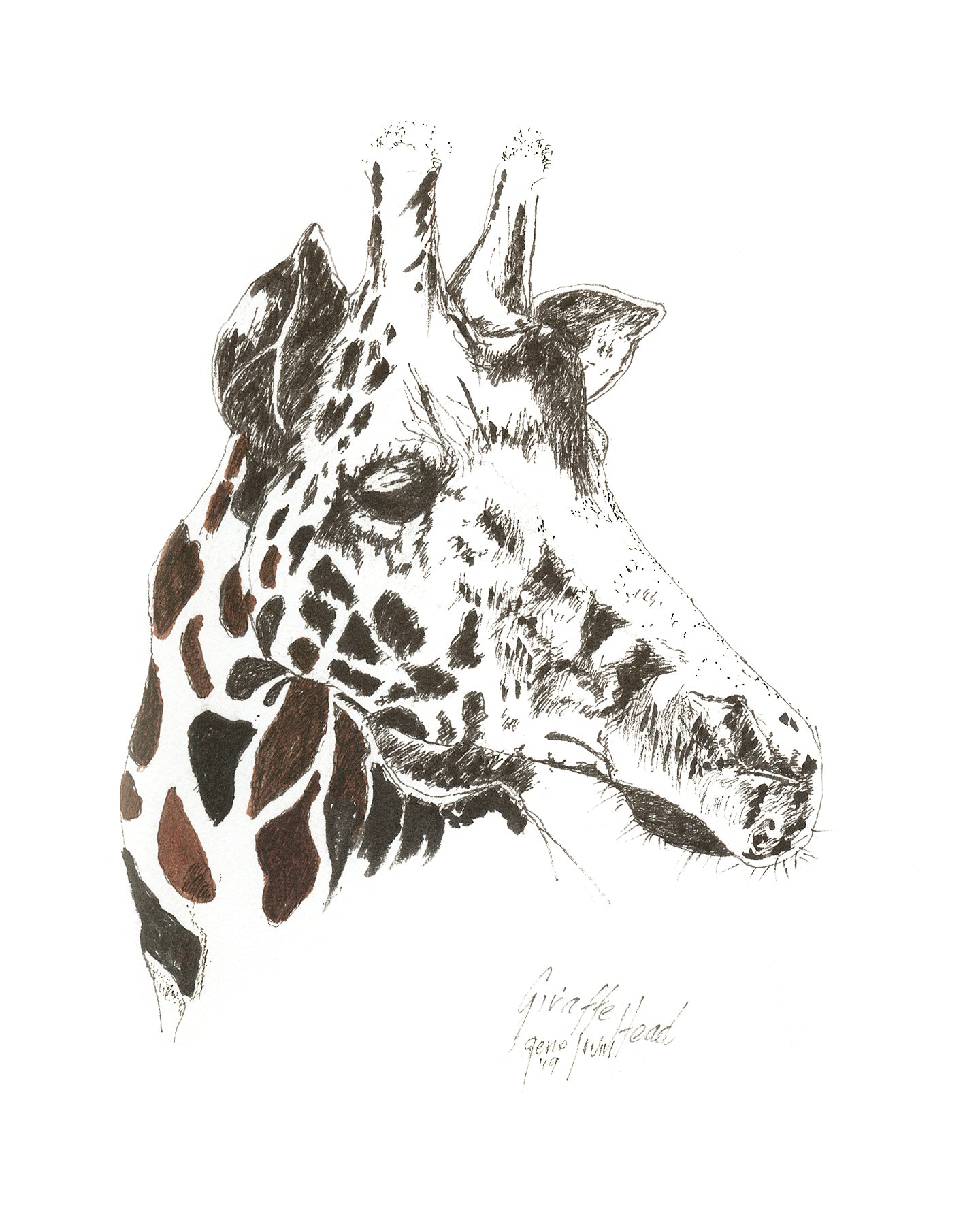 Giraffe Two Tone pen and ink art print by Gene Irvin — a giraffe rendered in a bold two-tone palette with its distinctive patchwork coat pattern, strong graphic pen line work with contemporary contrast, signed by the artist