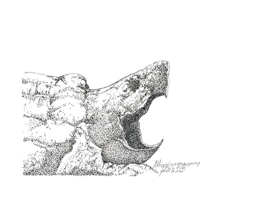 Alligator Snapping Turtle pen and ink stippling illustration by Gene Irvin — detailed profile of the turtle's spiky head and shell with mouth open wide revealing a sharp hooked beak, dense black stippling on white background, signed freshwater wildlife art
