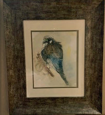 cernícalo americano