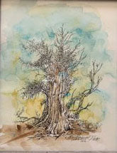 Ancient Bristlecone Pine Original - Gene's Pen & Ink