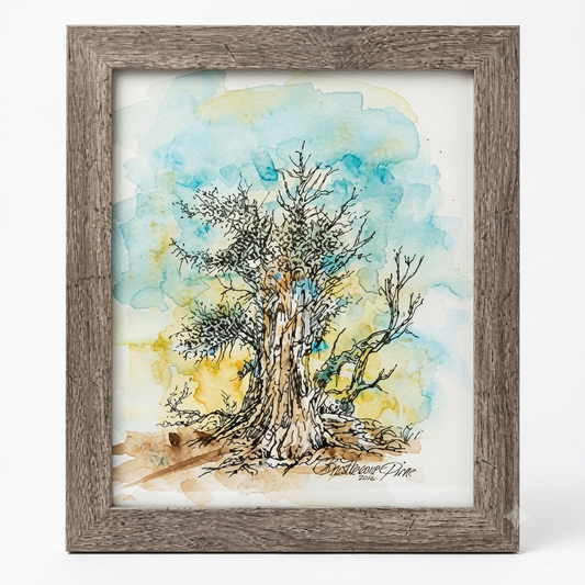 Ancient Bristlecone Pine original watercolor and ink illustration by Gene Irvin — loose gestural portrait of a massive Ancient Bristlecone Pine with deeply furrowed gnarled trunk and sparse twisted branches rendered in dense ink line work against soft blue, green, and golden watercolor washes evoking a high-altitude mountain sky, rustic grey barnwood frame, 8x10 inch artwork, 9.5x11.5 inches overall, ready to hang
