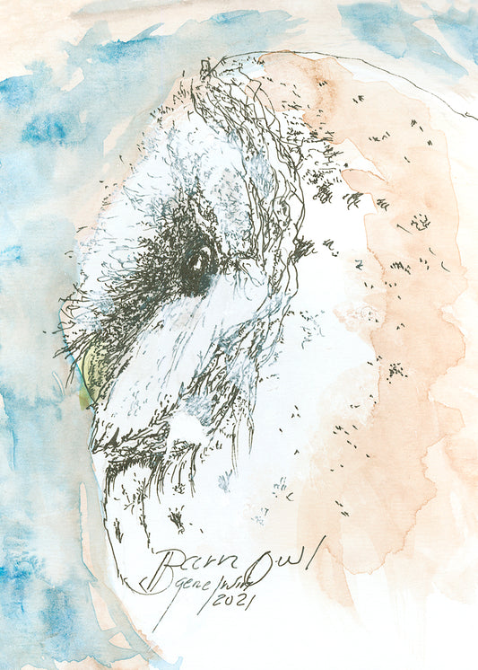  Barn Owl pen, ink, and watercolor illustration by Gene Irvin, 2021 — expressive gestural close-up of a Barn Owl's heart-shaped face with loose ink line work and soft blue and warm tan watercolor washes, signed by the artist