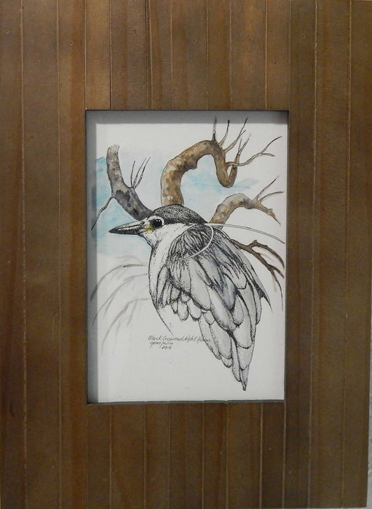 Black Crowned Night Heron Framed - Gene's Pen & Ink