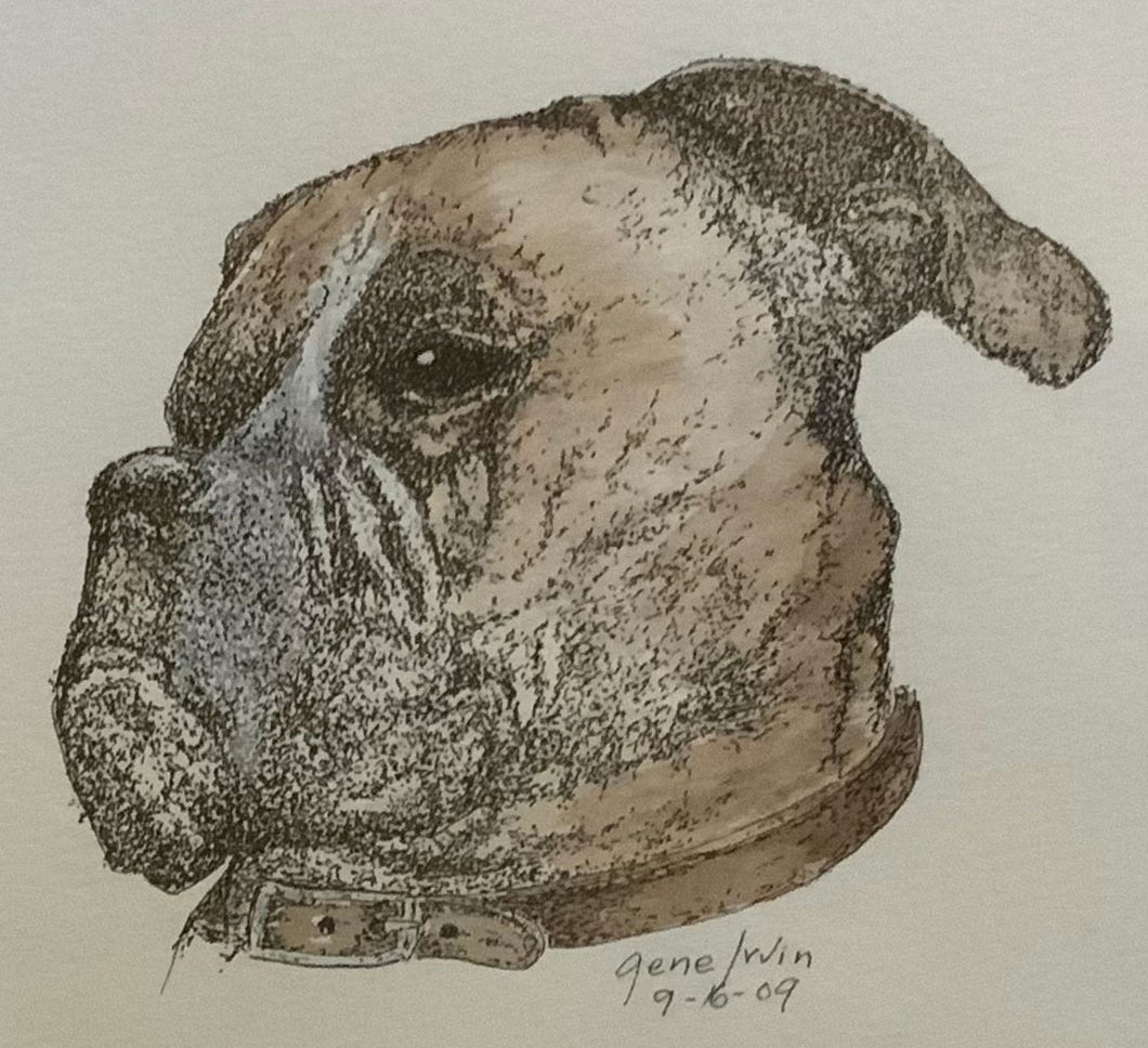 Boxer Dog Original - Gene's Pen & Ink
