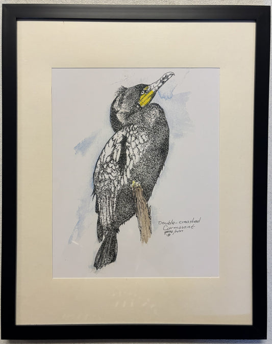 Double-Crested Cormorant framed art print by Gene Irvin — pen, ink, and watercolor wildlife illustration of a cormorant perched on a branch, matted in cream and displayed in a black frame, 8x10 print