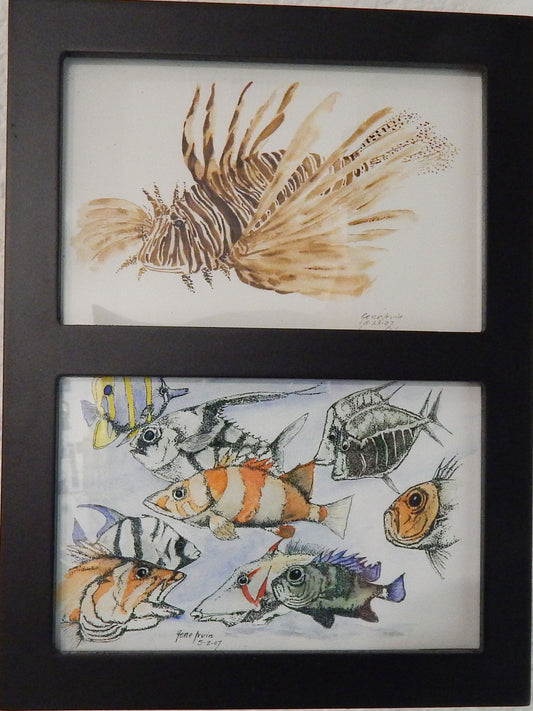 Fish Framed - Gene's Pen & Ink