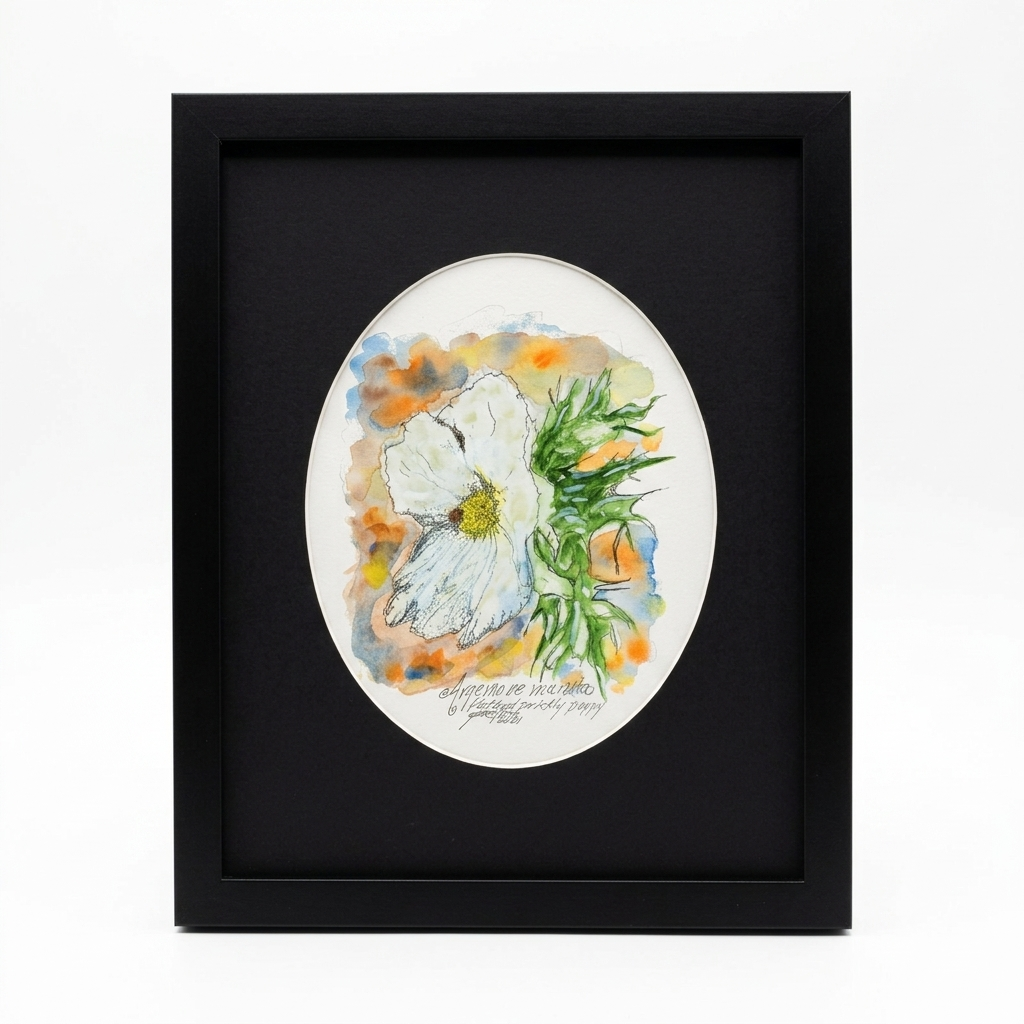 Flatbud Prickly Poppy original watercolor and ink illustration by Gene Irvin, 2021 — loose gestural portrait of a large white Flatbud Prickly Poppy bloom with yellow center stamens and a spiny green bud alongside, against warm orange and blue watercolor washes, oval cream mat on black background, dark wood frame, 8x10 inch artwork, 12.375x15.5 inches overall, ready to hang