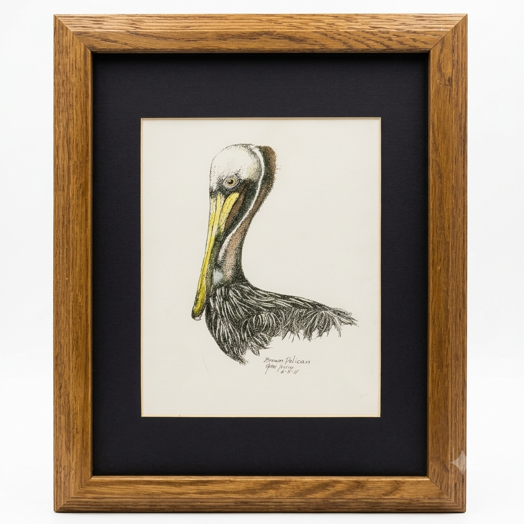 Brown Pelican framed art print by Gene Irvin — detailed pen, ink, and watercolor portrait of a brown pelican with yellow bill and ruffled chest feathers, black mat and warm oak wood frame, 8x10 print, ready to hang