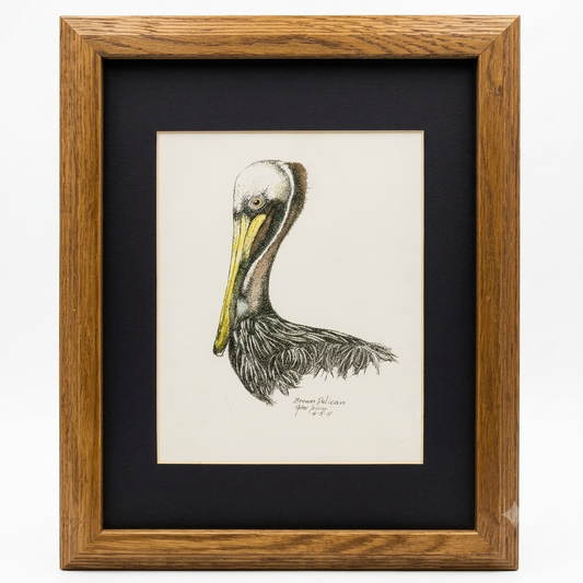 Brown Pelican framed art print by Gene Irvin — detailed pen, ink, and watercolor portrait of a brown pelican with yellow bill and ruffled chest feathers, black mat and warm oak wood frame, 8x10 print, ready to hang