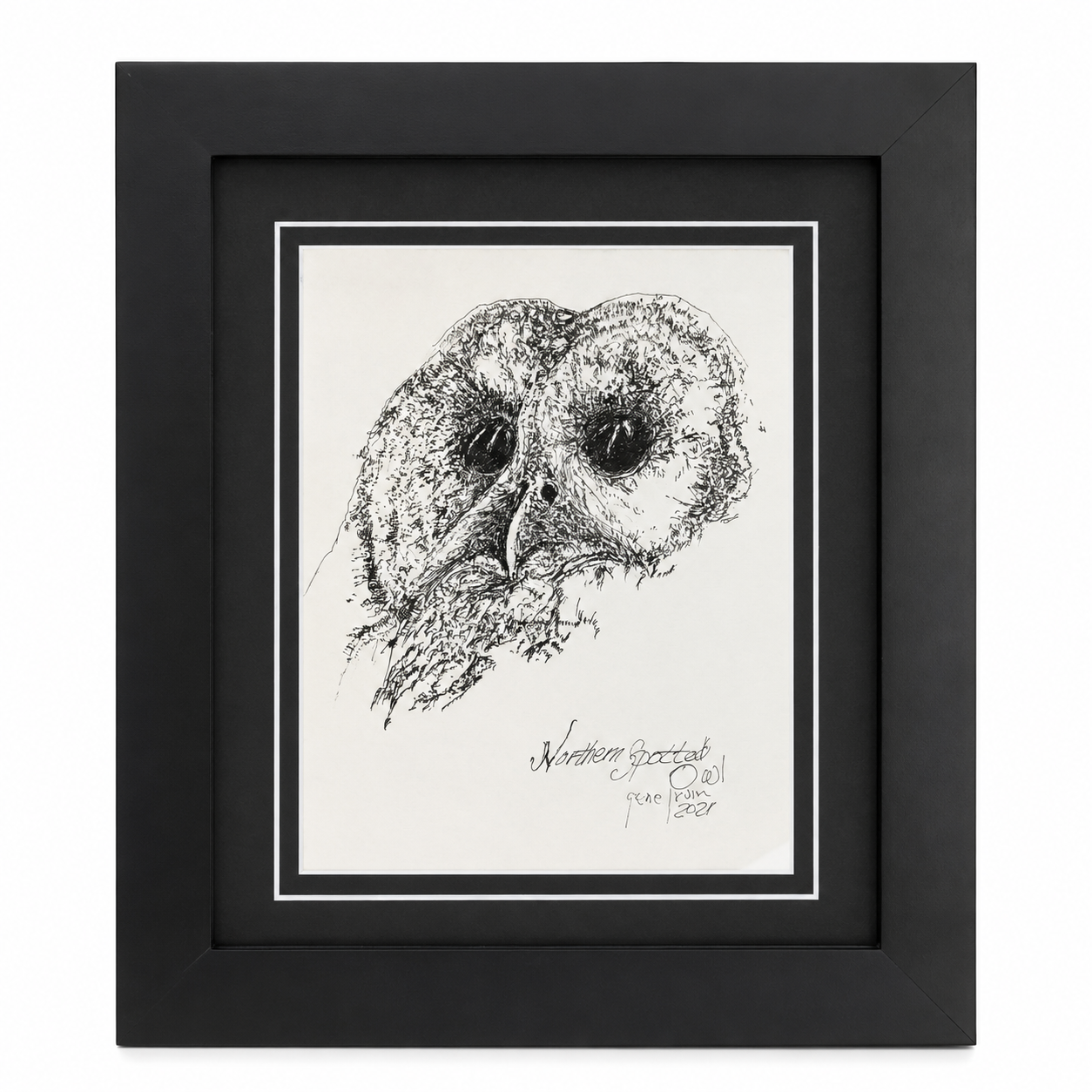 Framed Northern Spotted Owl pen and ink print by Gene Irvin, signed 2021 — head portrait of an owl with large dark eyes and densely crosshatched feathering, black ink on white, double-matted in black in a flat black wood frame, 8×10 print, ready to hang