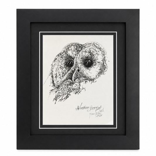 Framed Northern Spotted Owl pen and ink print by Gene Irvin, signed 2021 — head portrait of an owl with large dark eyes and densely crosshatched feathering, black ink on white, double-matted in black in a flat black wood frame, 8×10 print, ready to hang