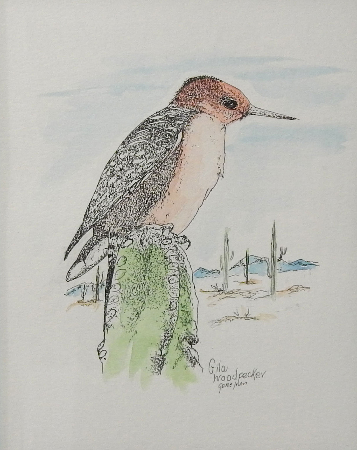 Gila Woodpecker Original - Gene's Pen & Ink