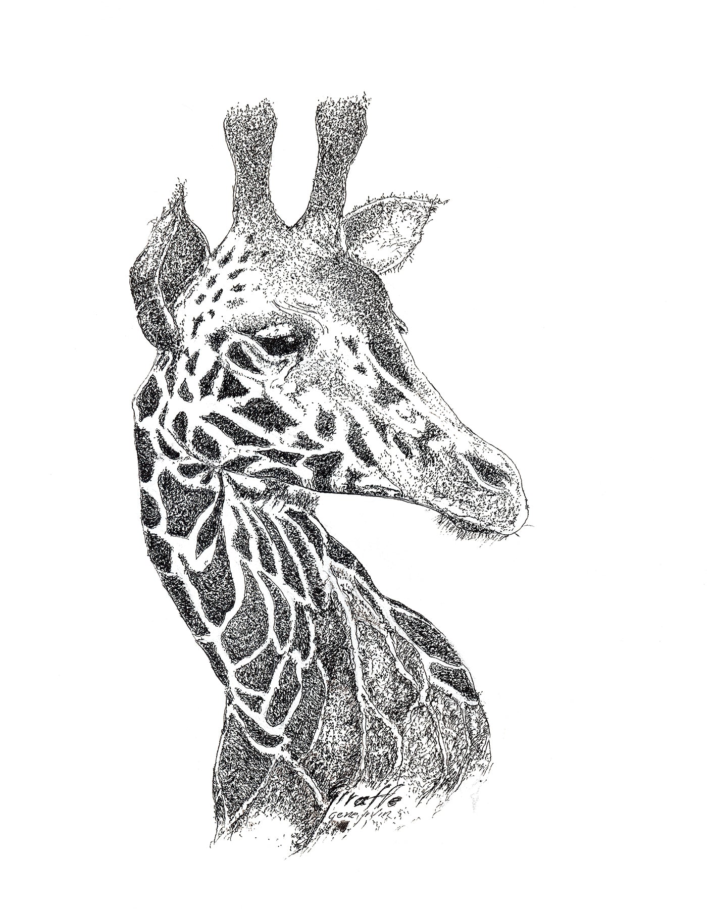 Giraffe Framed Print - Gene's Pen & Ink