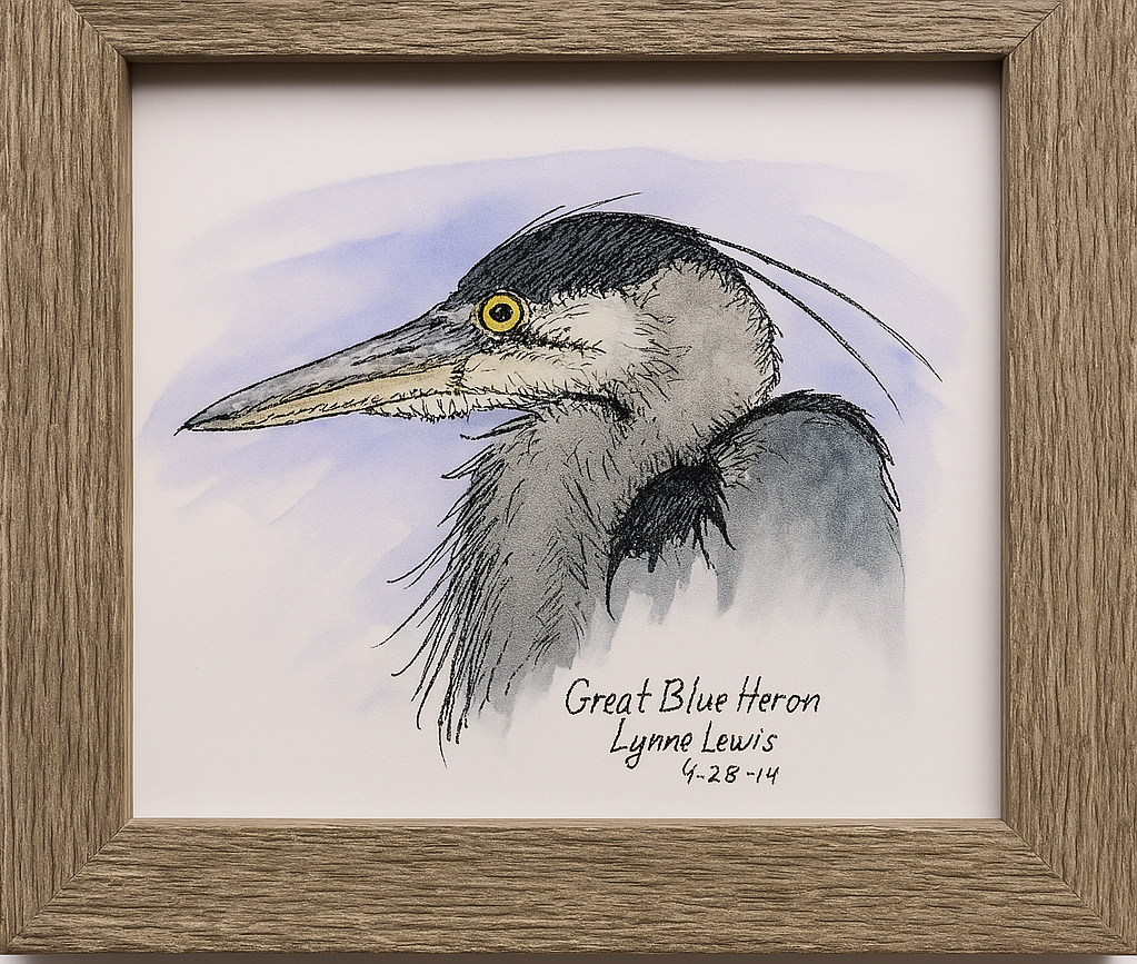 Great Blue Heron framed art print by Gene Irvin, 2011 — dense ink stippling close-up portrait of a Great Blue Heron head with piercing golden eye, long dagger beak, black crown stripe, and loose shaggy plume feathers against a soft blue-grey watercolor wash, rustic driftwood-style wood frame, 5x7 inch print, 8.5x6.5 inches overall, ready to hang