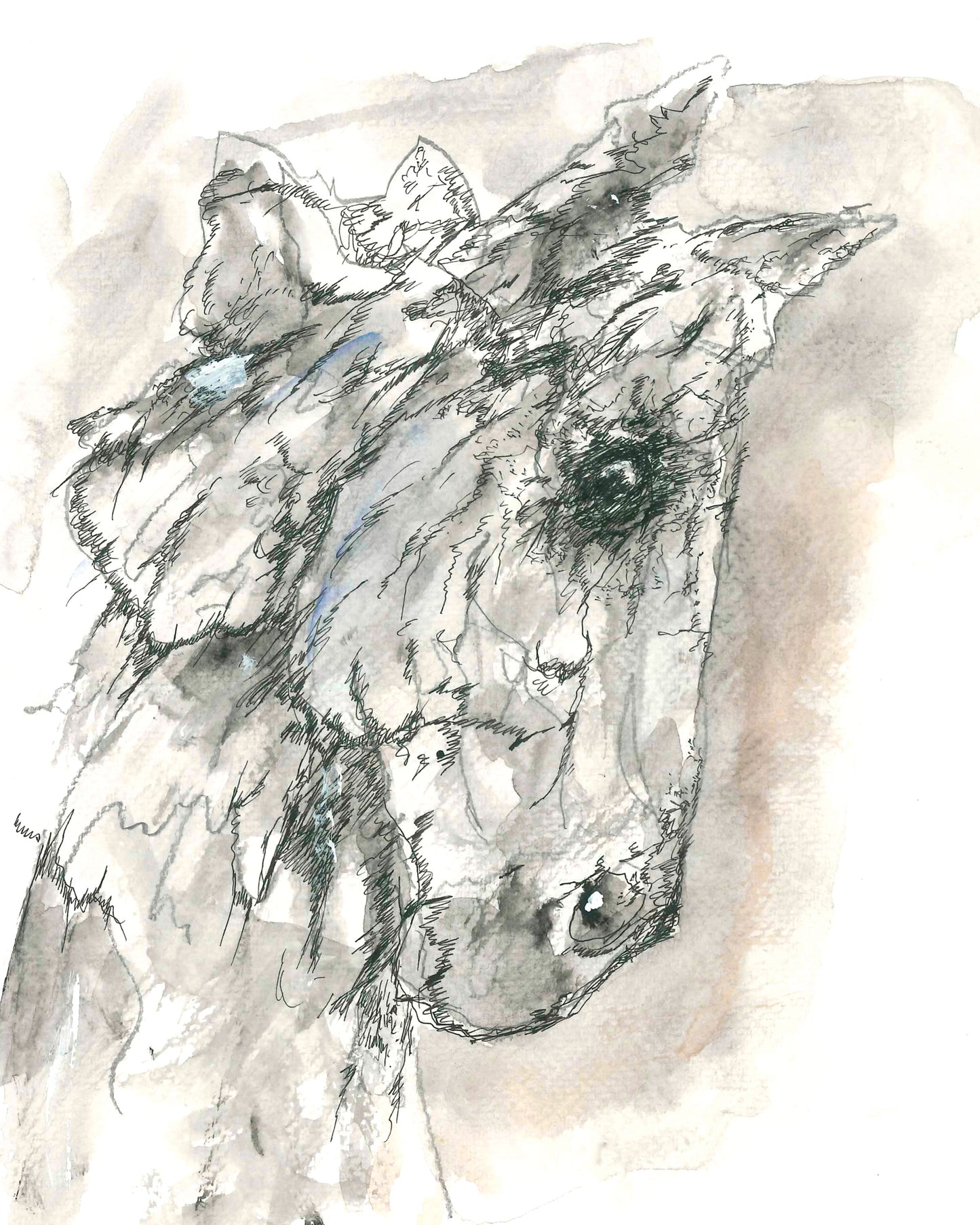 Horse pen and ink illustration by Gene Irvin — a graceful horse with a noble set to the head, rendered in fine detailed line work, one of the artist's final works created for a friend, signed