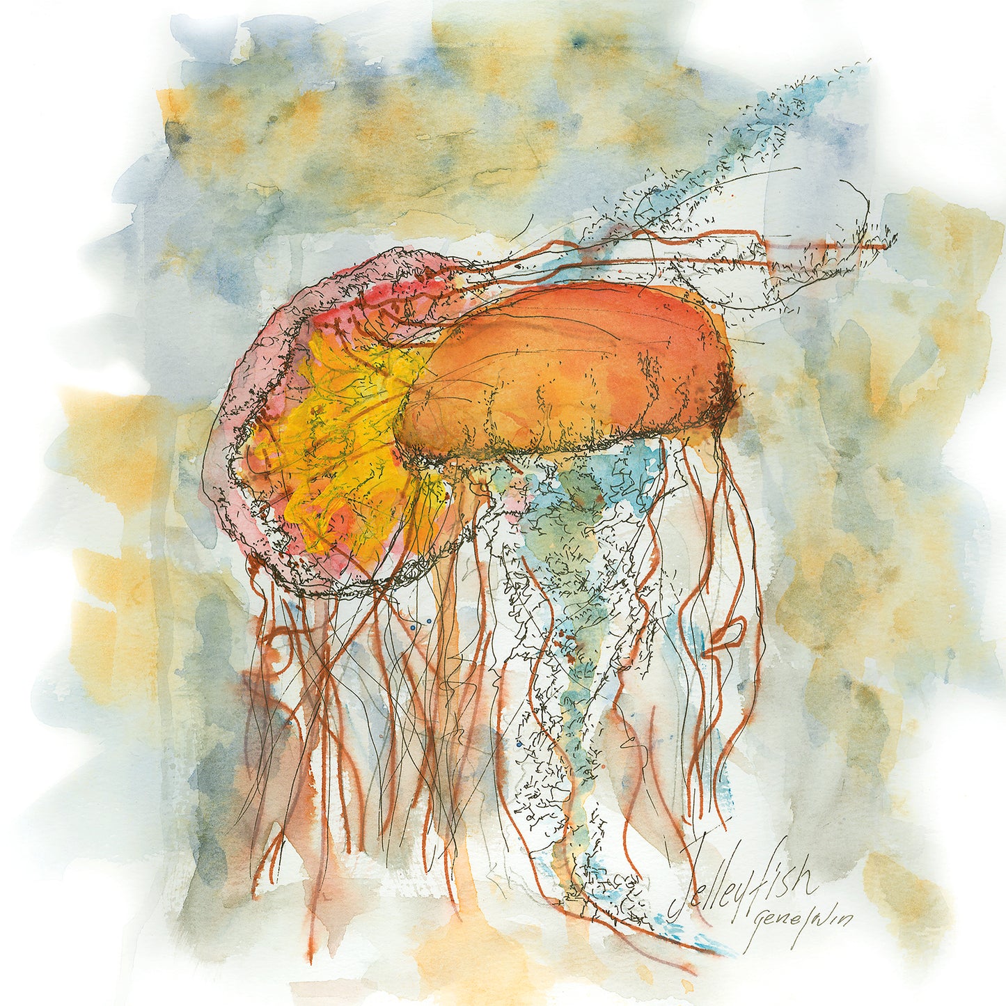 Jellyfish pen, ink, and watercolor illustration by Gene Irvin — large jellyfish with glowing orange, yellow, and pink bell and trailing tentacles, gestural ink line work over loose watercolor washes, soft blue-grey and golden ocean background, signed by the artist