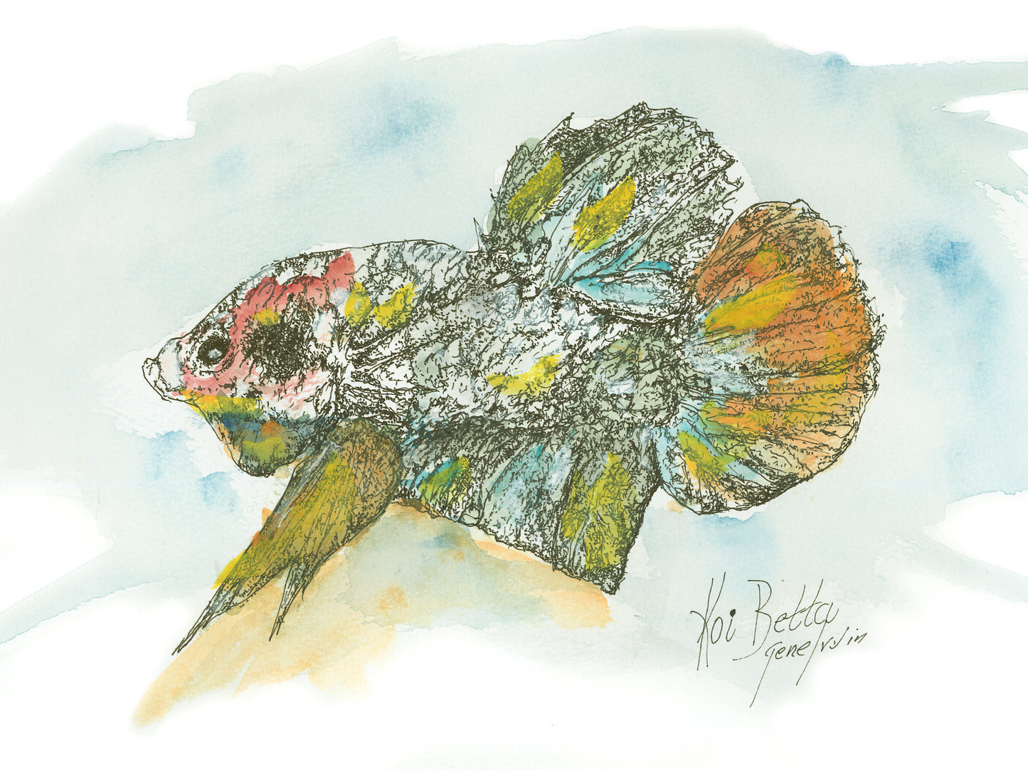 Original Koi Betta pen, ink, and watercolor illustration by Gene Irvin — detailed ink crosshatching portrait of a marbled Koi Betta fish with patches of red, teal, yellow, and orange on a white and silver body with large flowing fins, soft blue and gold watercolor wash background, signed by the artist