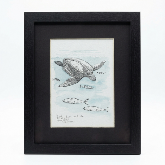 Original Leatherback Sea Turtle and Pilot Fish pen and ink drawing by Gene Irvin — stippled turtle swimming with pilot fish, soft blue watercolor wash, dark mat, black frame, 9.25×11.25", ready to hang. Signed "Leatherback Sea Turtle, Pilot Fish, Gene Irvin, 1-10-09."