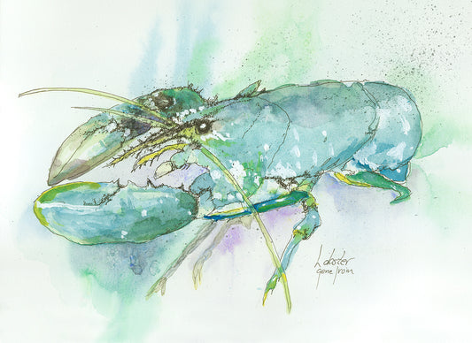 Close-up of original lobster drawing by Gene Irvin — teal and green pen and ink with watercolor wash, signed "Lobster, Gene Irvin."