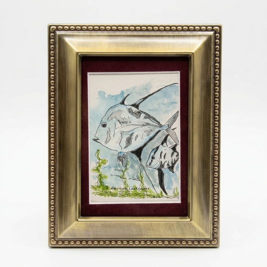 Mexican Lookdown Fish original watercolor and ink illustration by Gene Irvin — loose gestural portrait of two Mexican Lookdown Fish with distinctive laterally compressed silver bodies, elongated dorsal and anal fins, and dark eye markings swimming above a sprig of green seaweed against a soft blue watercolor ocean wash, ornate antique gold beaded frame with deep burgundy mat, 3x4.5 inch artwork, 6x8 inches overall, ready to hang or display
