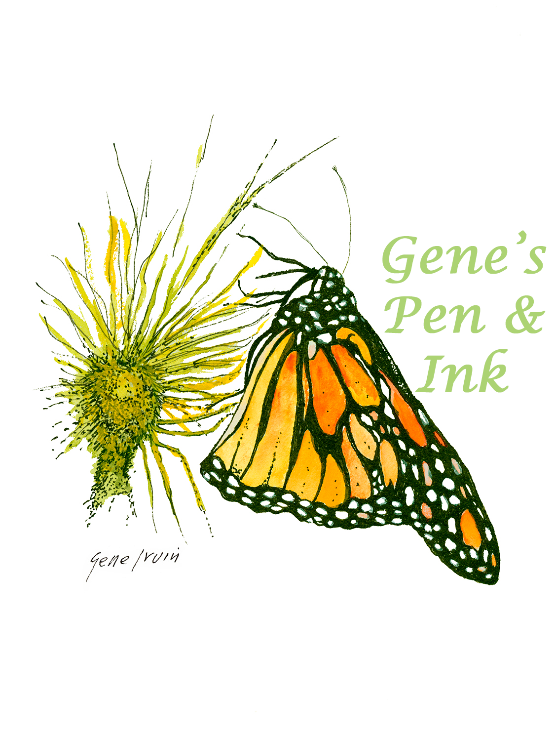 About The Artist – Gene's Pen & Ink