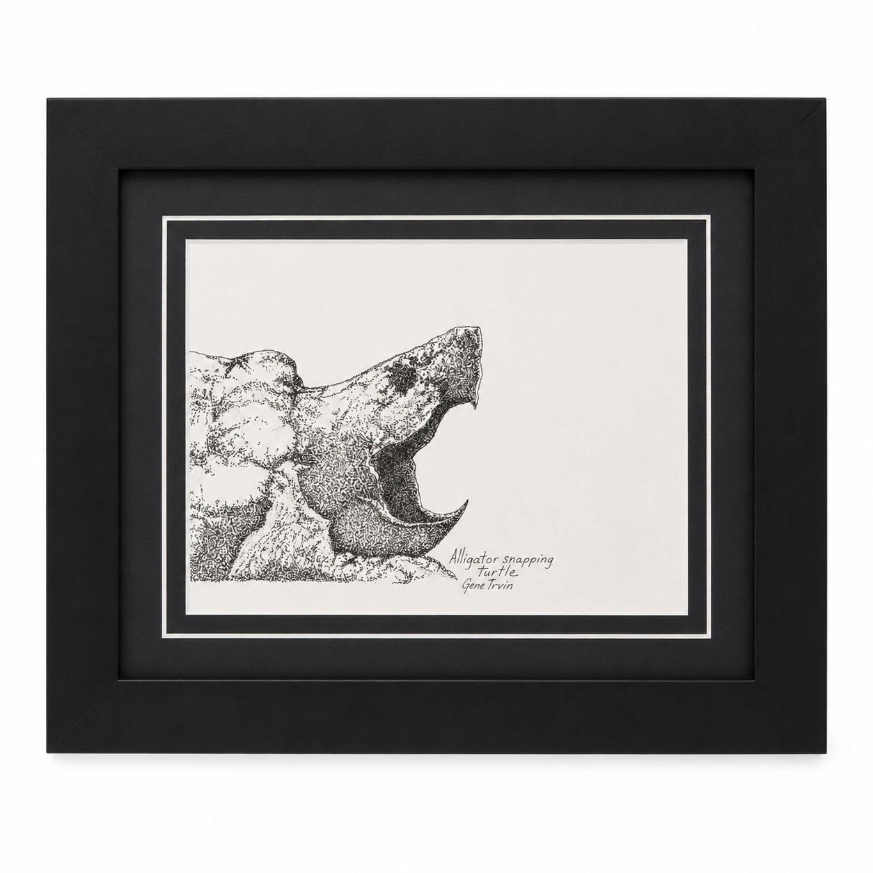 Original Alligator Snapping Turtle pen and ink stippling by Gene Irvin — side profile of the turtle's head with jaws open wide showing its sharp hooked beak, dense black-and-white stippling on white, double-matted in black in a flat black wood frame, 12×10 inches, ready to hang